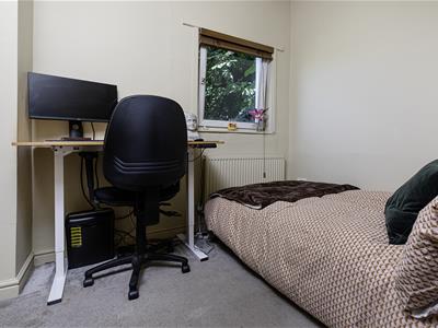 Picture 15